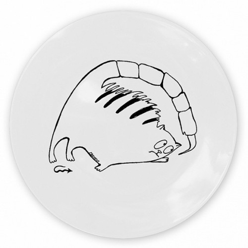 кот-скорпион в Ставрополе