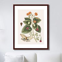 картина: beauty bloom №4, 1732г. в Ставрополе