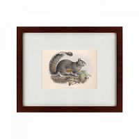 картина: the squirrel, 1879 в Ставрополе