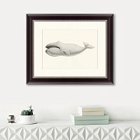 картина: bowhead whale (balaena mysticetus), 1856 в Ставрополе
