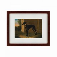картина: portrait of a greyhound called pompon, 1746 в Ставрополе