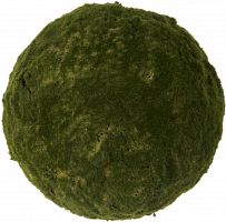 декор moss sun в Ставрополе