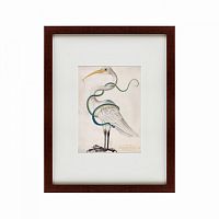 картина: heron encircled by a snake, 1700 в Ставрополе