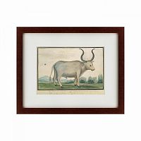картина: cape ox, 1778 в Ставрополе