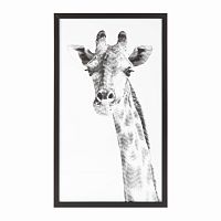 постер giraffe черный в Ставрополе