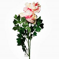 пион розовый 62 см (12) в Ставрополе