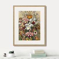 картина: art forms of nature №6, 1897г. в Ставрополе