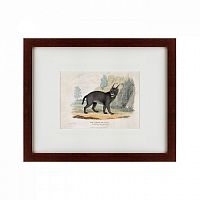 картина: a caracal or lynx, 1830 в Ставрополе