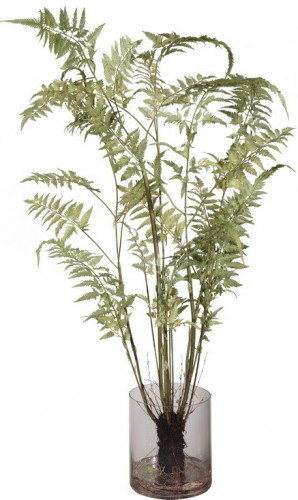декор fern в Ставрополе