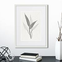 картина: the fern collection №6 в Ставрополе