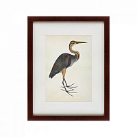 картина: heron (литография), 1822 в Ставрополе